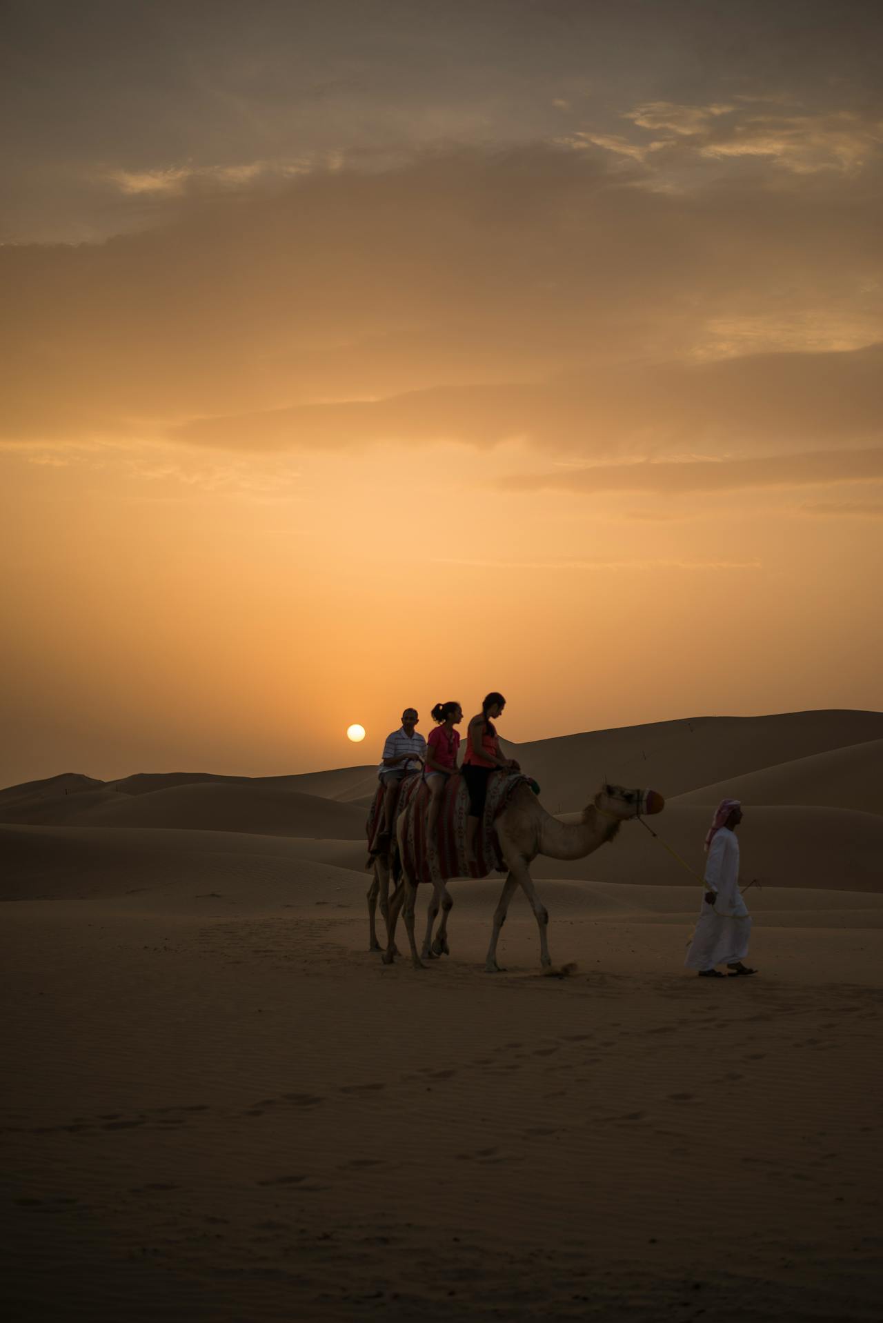 Camel ride at sunset in the Dubai desert
